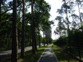 DSC03226