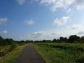 DSC03229
