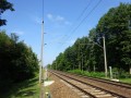 DSC03232