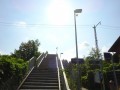 DSC03236