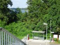 DSC03239