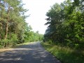 DSC03240