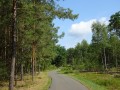 DSC03245
