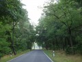 DSC03246