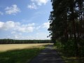 DSC03249