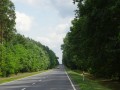 DSC03261