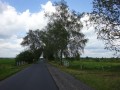 DSC03264