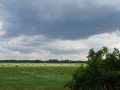 DSC03266