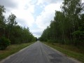 DSC03268