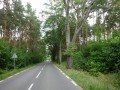 DSC03271