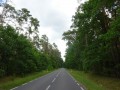 DSC03272