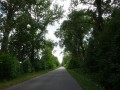 DSC03273