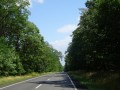 DSC03276