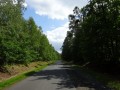 DSC03279