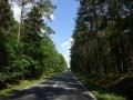 DSC03284
