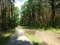 DSC03289