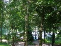 DSC03293