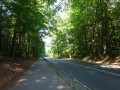 DSC02910