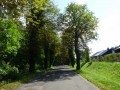 DSC02913