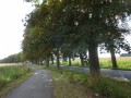 DSC02917