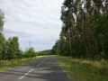 DSC02922