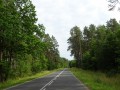 DSC02923