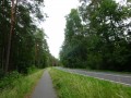 DSC02926