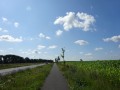 DSC01323