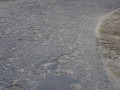 DSC01328