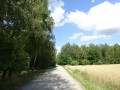 DSC01331