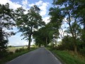DSC01332
