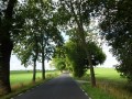 DSC01334