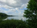 DSC01336