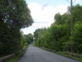 DSC01337