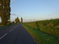 DSC01342