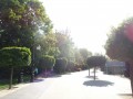 DSC01346