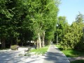 DSC01350