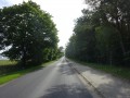DSC01351