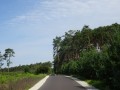 DSC01366