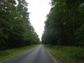 DSC01374