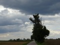 DSC01376