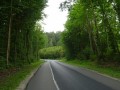 DSC01378