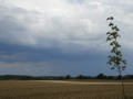 DSC01380