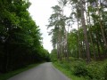 DSC01381