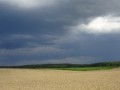 DSC01384