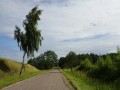 DSC01100