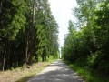 DSC01113