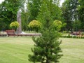DSC01120