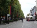 DSC01153