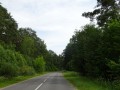 DSC01181